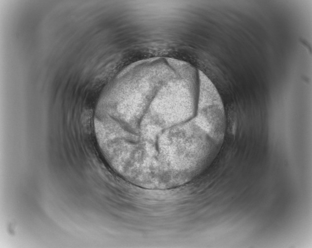 X0000102010034200808151302