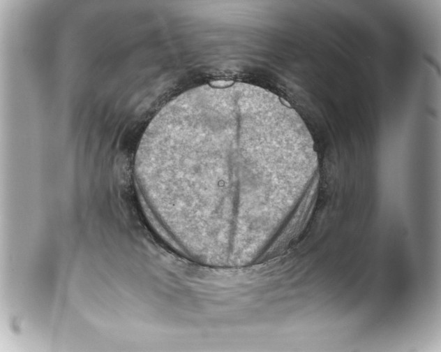 X0000102010037200808151302