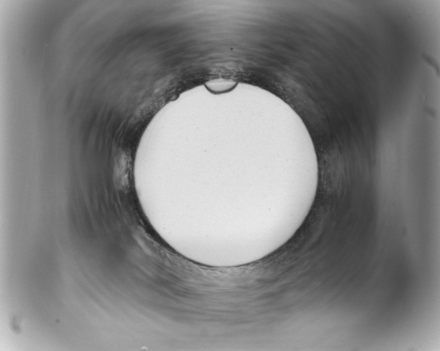 X0000102010038200808151302