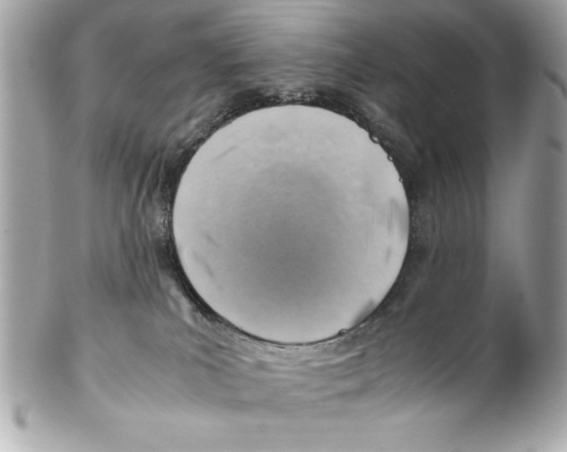 X0000102010039200808151302