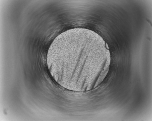 X0000102010040200808151302