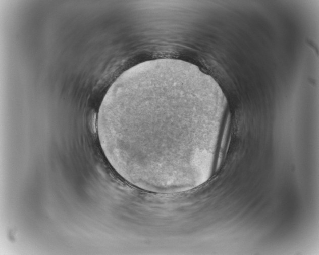 X0000102010041200808151302