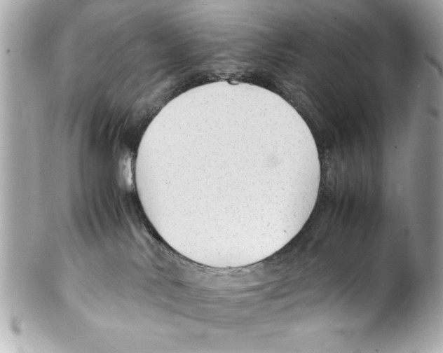 X0000102010042200808151302