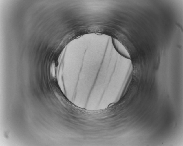 X0000102010046200808151302