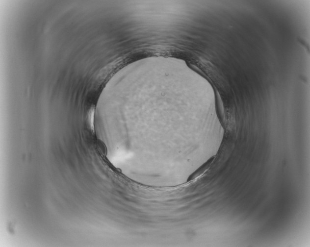 X0000102010047200808151302