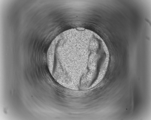 X0000102010048200808151302