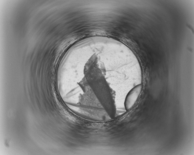 X0000102010049200808151301