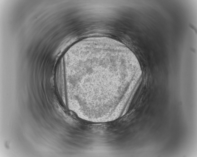 X0000102010050200808151301