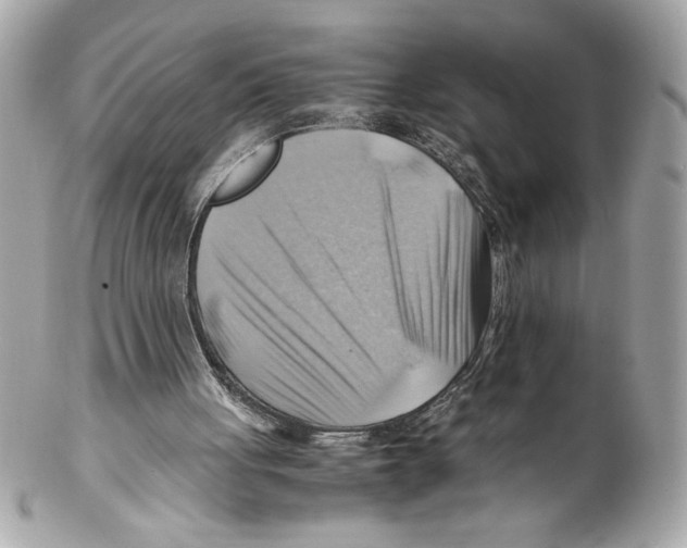 X0000102010051200808151301