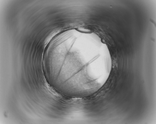 X0000102010052200808151301