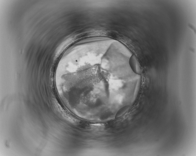 X0000102010053200808151301