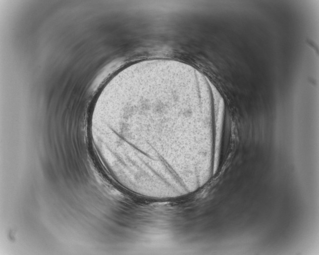 X0000102010054200808151301