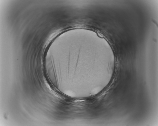 X0000102010055200808151301