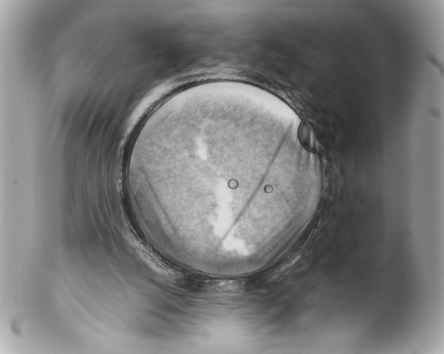 X0000102010056200808151301