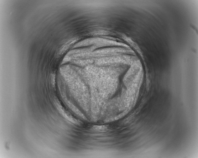 X0000102010057200808151301