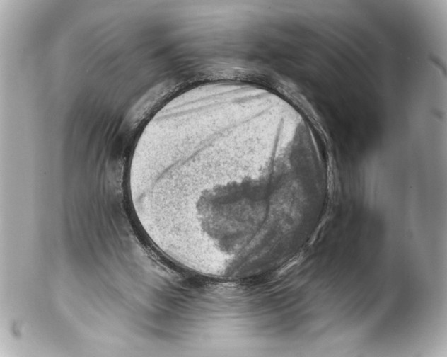 X0000102010058200808151301