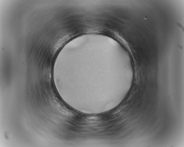 X0000102010059200808151301