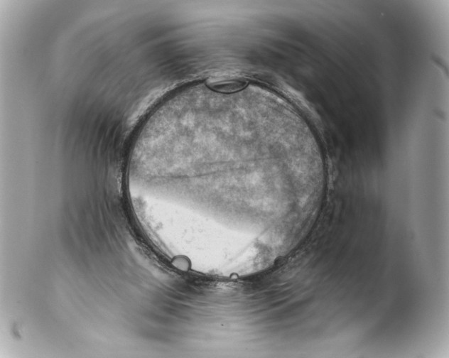 X0000102010060200808151301