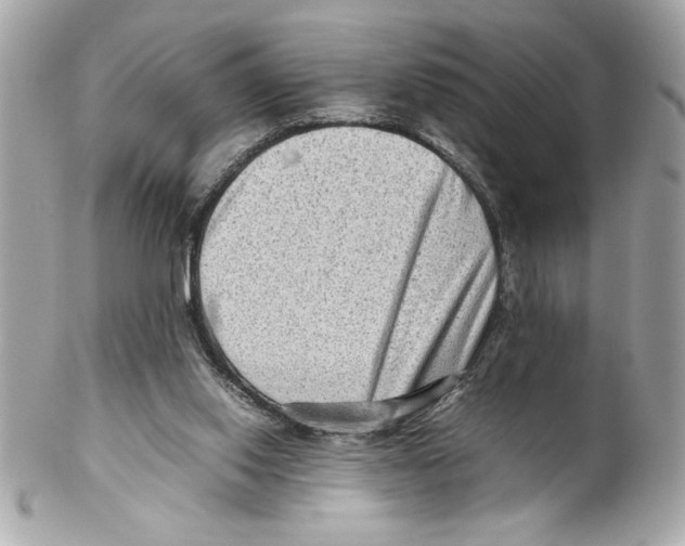 X0000102010062200808151301