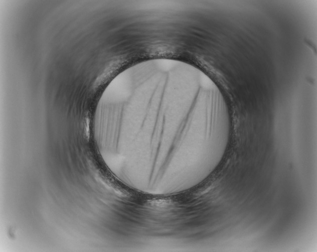 X0000102010067200808151302