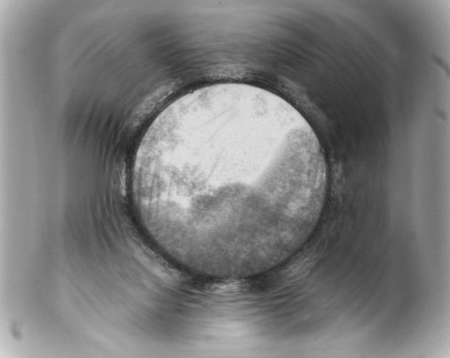 X0000102010068200808151302