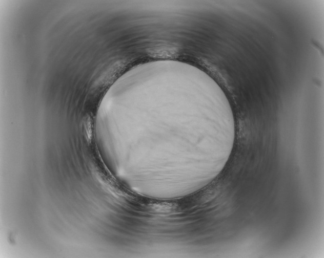 X0000102010069200808151302