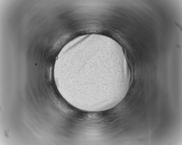 X0000102010070200808151302