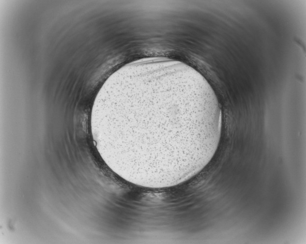 X0000102010071200808151302