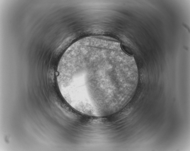 X0000102010072200808151302