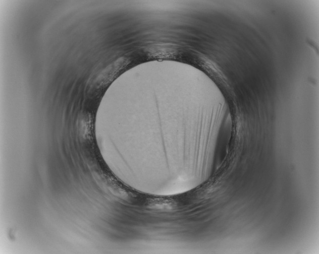 X0000102010073200808151302