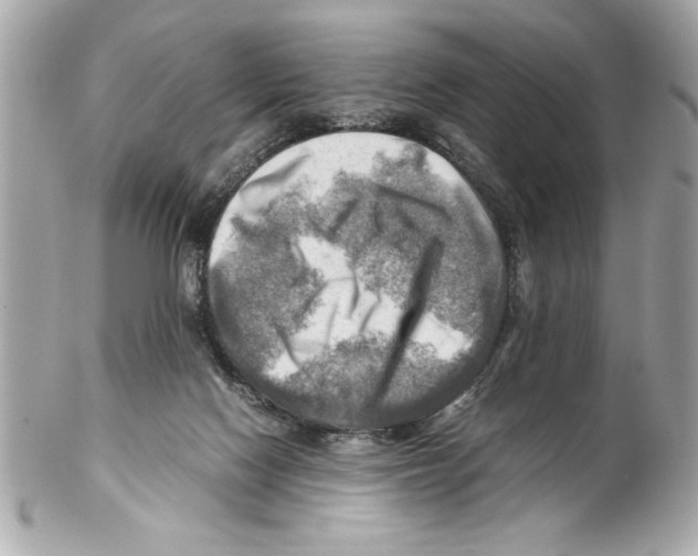 X0000102010074200808151302