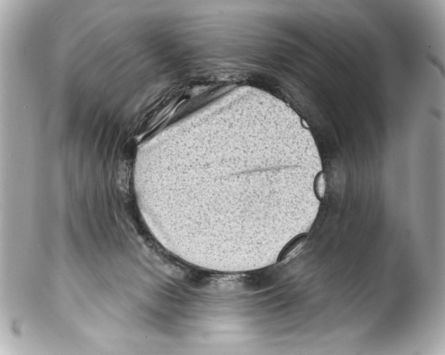 X0000102010078200808151302