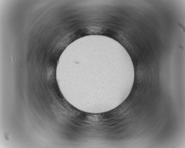 X0000102010079200808151302