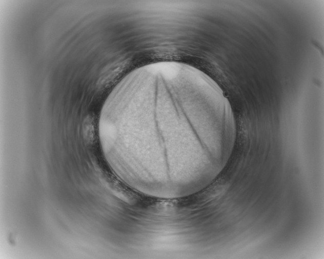 X0000102010080200808151302