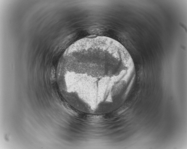 X0000102010081200808151302