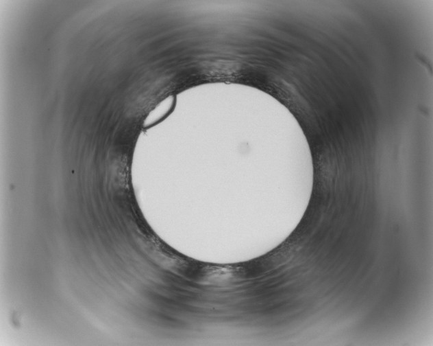 X0000102010083200808151302