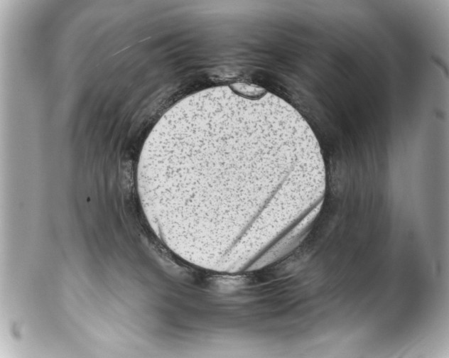 X0000102010085200808151302