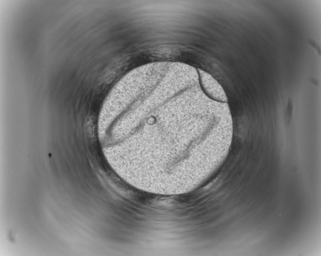 X0000102010086200808151302