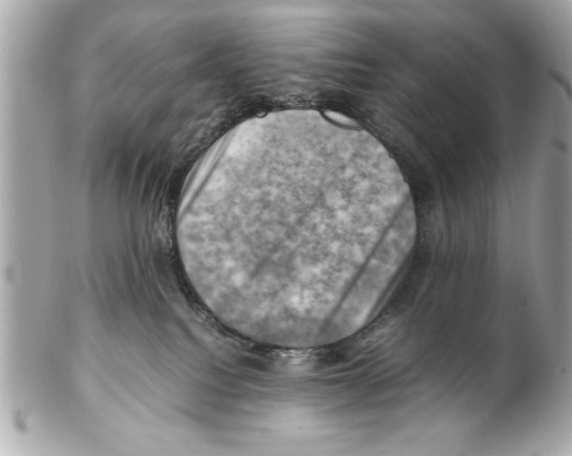 X0000102010088200808151302