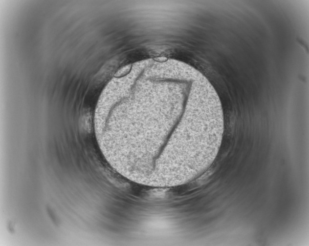 X0000102010090200808151302