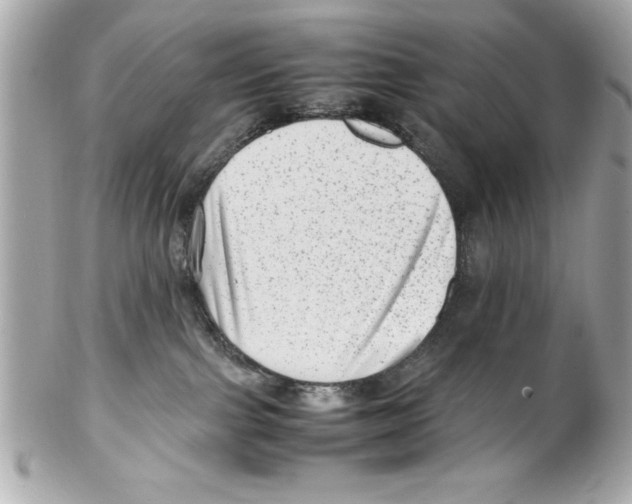 X0000102010091200808151302