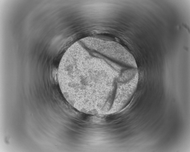 X0000102010094200808151302