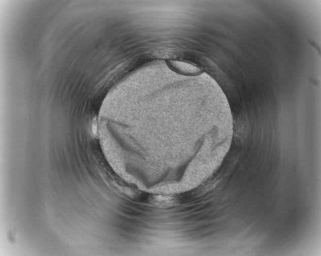 X0000102010095200808151302