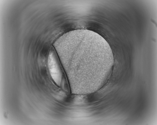 X0000102010096200808151302