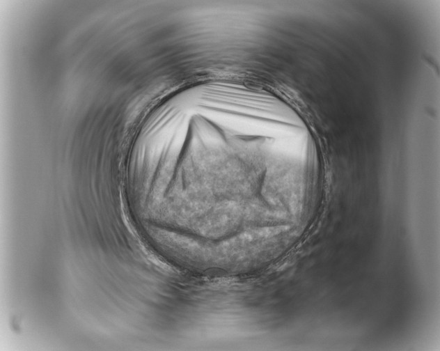 X0000102010097200808151301