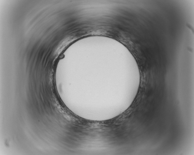 X0000102010098200808151301