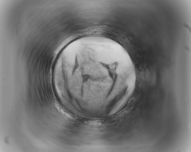 X0000102010100200808151301