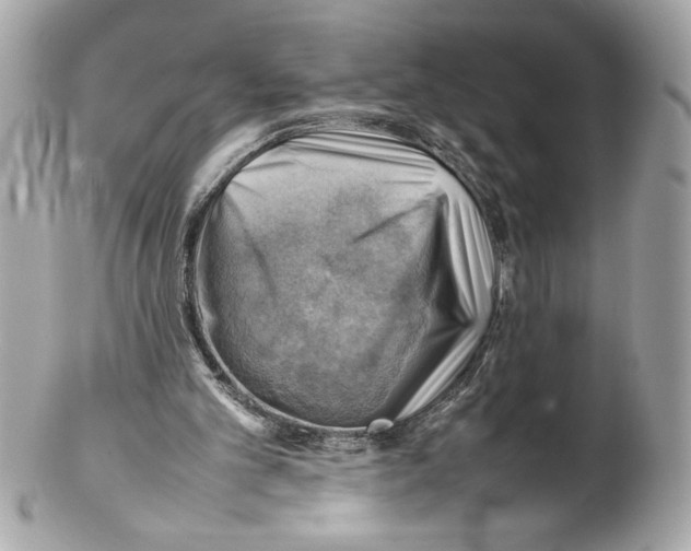 X0000102010101200808151301