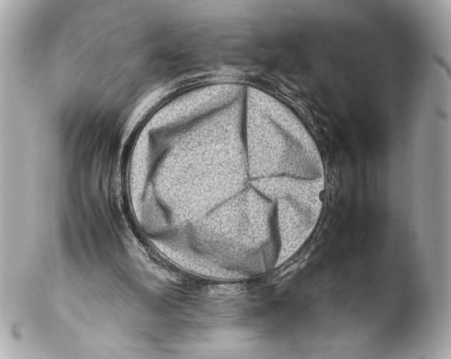 X0000102010102200808151301