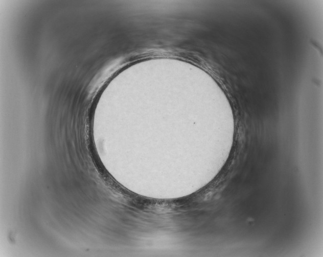 X0000102010103200808151301